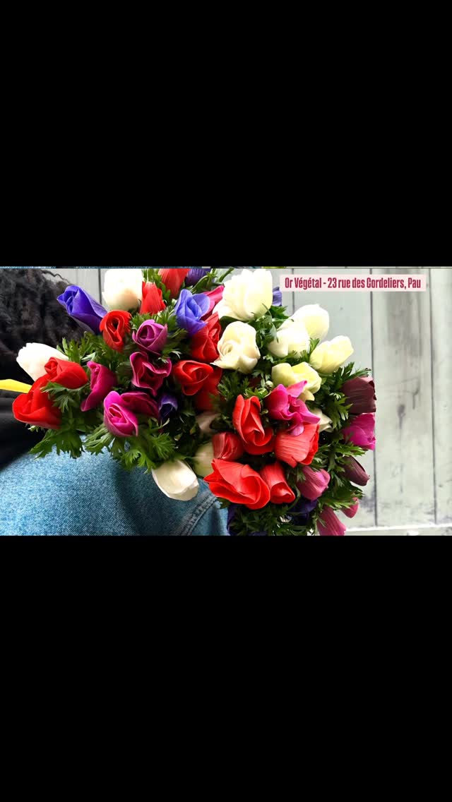 Mise en beauté des magnifiques anémones locales...😍
Disponibles ce week-end, n'hésitez pas à passer commande!
#orvegetal #orvegetalpau #artisanfleuriste #paumaville