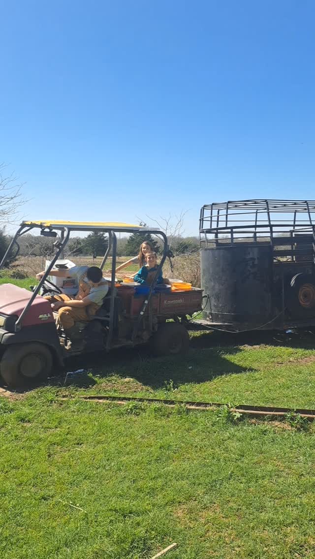 Mud makes everything take So. Much. Longer! At least we get an extra hour of sunlight in the evening...
#pasturedpork #farmtotable #knowyourfarmer #farmersvilletx