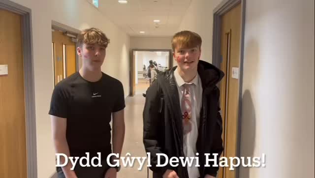 Dydd Gwyl Dewi Hapus! 🏴
