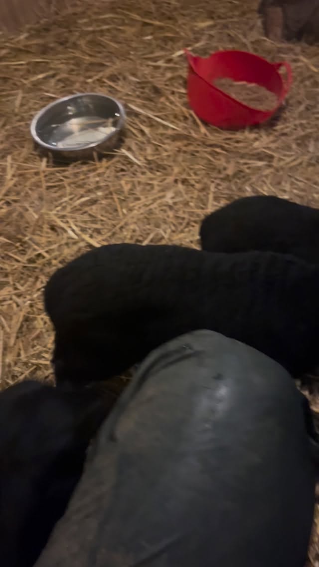 Variety is absolutely in my job title! Everyday is different!