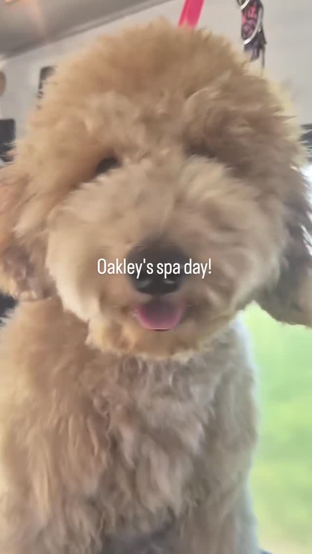 Oakley's Spa day ! 🥰
