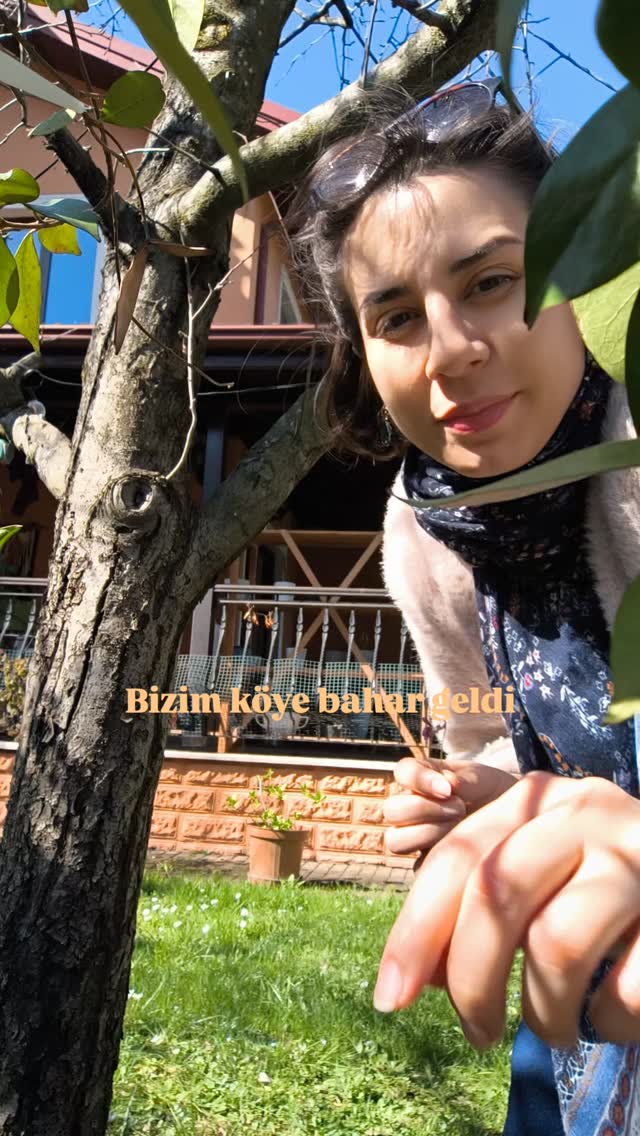 Benden size bir Maşukiye klibi 😊
#doğasever #doğalyaşam