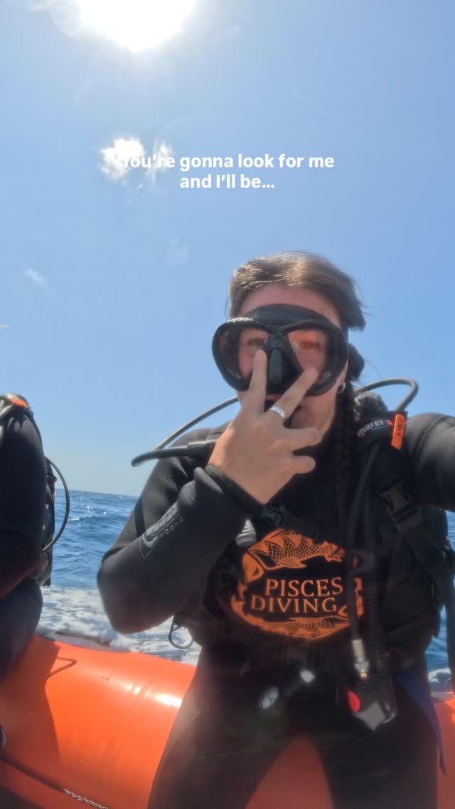 If you need us we’ll be a few meters below the waves. 🪸