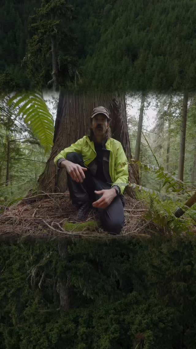 Please click the link in our bio to TAKE ACTION by urguing the Senate to match the House’s $16.9 million funding level during final budget negotiations.
Trust Land Transfer (TLT) at the Washington State Department of Natural Resources is one of the most effective conservation mechanisms we have. TLT is an incredibly important program that protects ecologically valuable lands while purchasing replacement properties better suited for long-term timber production. It’s a rare win-win-win: safeguarding the environment while supporting rural communities, trust beneficiaries, and working forests.