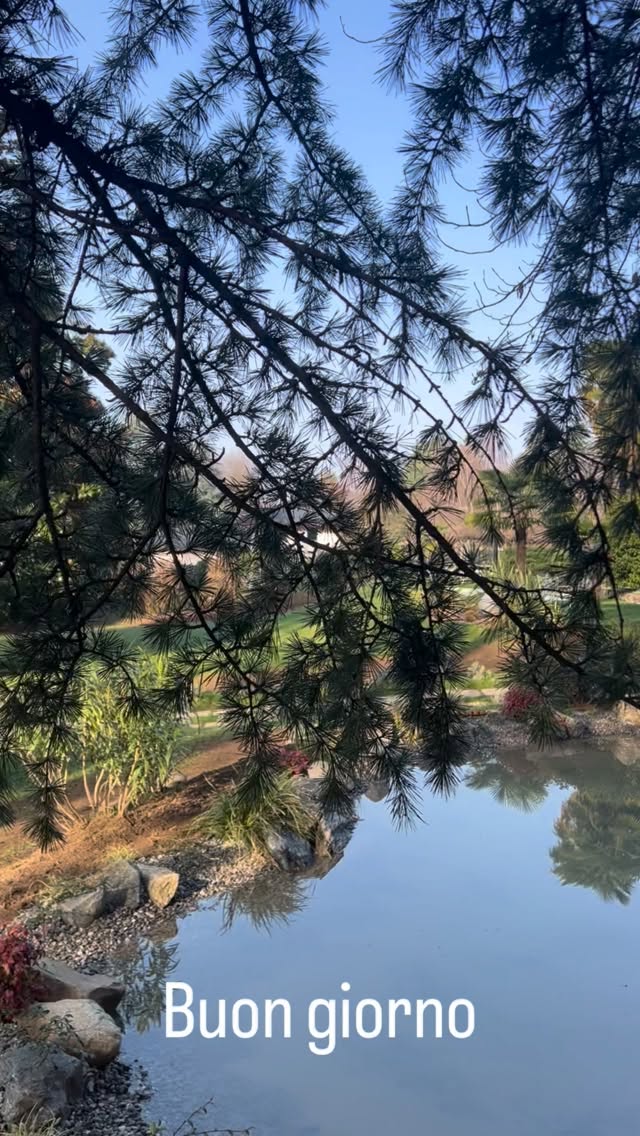 #buongiorno