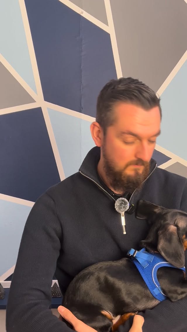 Milo clearly wanted to join in on the action this week… 🐾
New episode of Tax Tidbits airs tomorrow! 🎉