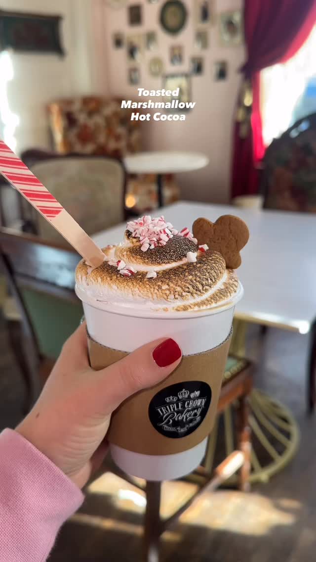 found the coziest drink in nashville ☕️🤍
nothing beats hot chocolate with a toasted marshmallow on top. ✨
#nashville #nashvilletn #breakfast #coffeeshop #bakery