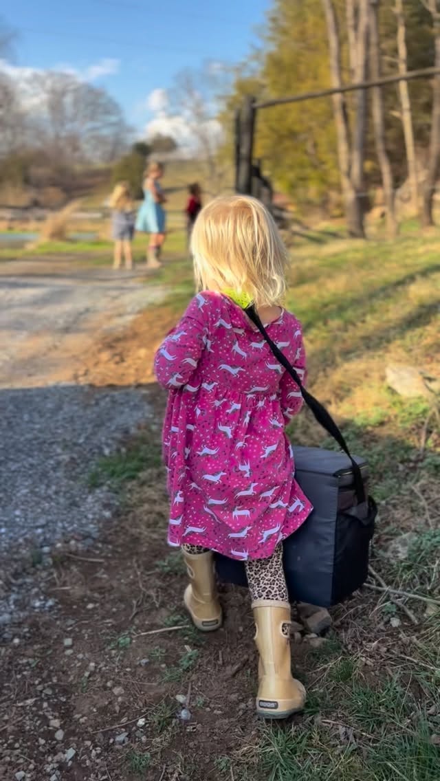 It was a beautiful day here in the Shenandoah Valley so we grabbed the rods and set out to catch our dinner, the kids caught five beautiful trout at a Mill pond owned by Derek’s family. Derek prepared the trout on our carbon steel griddle and they cooked perfectly in the oven.
#carbonsteel #virginia #fishing #cooking