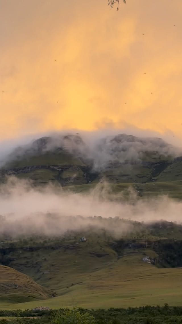 Lost in the wild beauty of Giants Cup Wilderness Reserve 🌿🏔️
Rolling mountains, endless hiking trails, and the peaceful sound of nature all around. This hidden gem in the Drakensberg is perfect for anyone craving adventure and a little escape from the busy world. Whether you’re hiking the famous Giant’s Cup Trail, spotting wildlife, or simply soaking in the views — every moment here feels unforgettable.
Nature at its finest.
Would you explore this place? 🌍✨
#giantscupwildernessreserve #drakensberg #southafricatravel #naturelovers