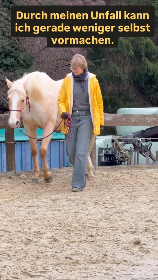 Mein Unfall hat einiges verändert.
Im Moment kann ich nicht alles selbst vormachen, wie ich es normalerweise im Unterricht tue.
Aber genau jetzt zeigt sich, wie wertvoll ein gut ausgebildetes Pferd 🐴 ist.
Magic arbeitet auch mit meinen Schülern ruhig und aufmerksam zusammen und hilft ihnen, Timing, Körpersprache und feine Kommunikation besser zu verstehen.
Oft lernen Menschen vom Pferd sogar mehr als von vielen Worten.
Ein gutes Lehrpferd ist deshalb unbezahlbar.
#lehrpferd #bodenarbeit #horsemanship #pferdetraining #pferdeverstehen partnerschaftmitpferden
