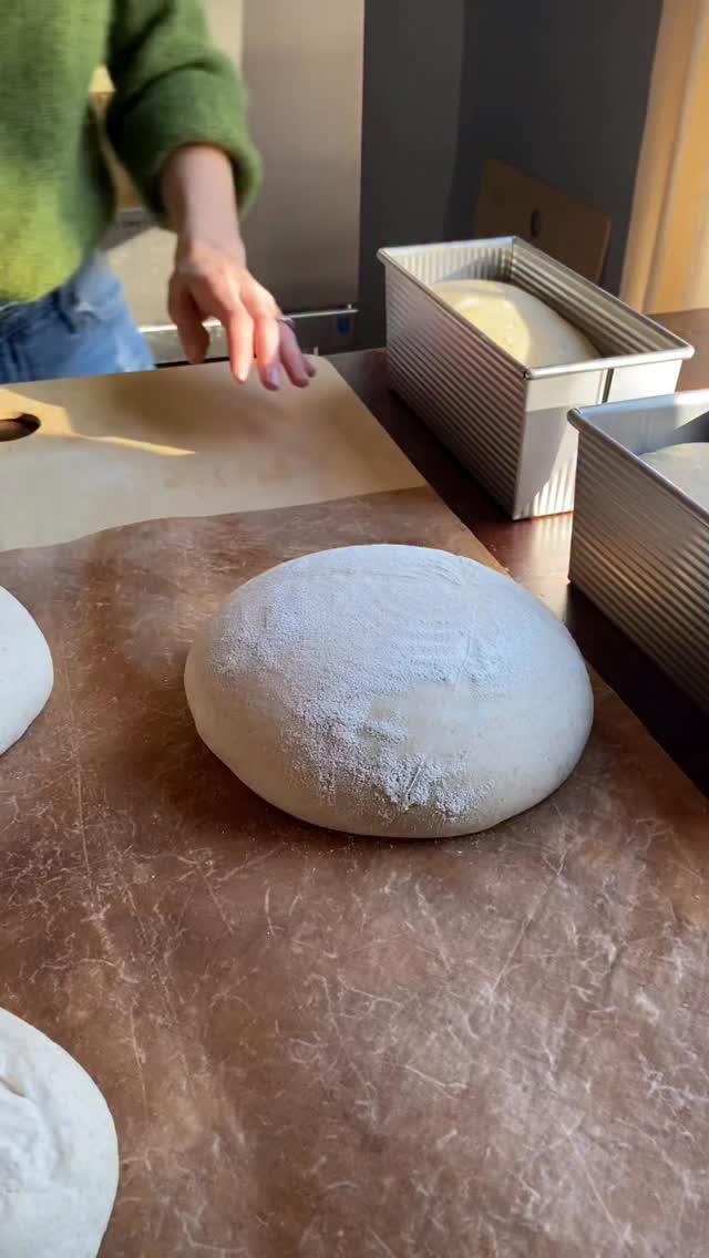 Simple is best.
For more simple & effective scoring tutorials, check out my upcoming cookbook “Plain Jane Sourdough”. Link in bio :)
Comment “SCORE” and I’ll send you a link to the bread lame I’ve used for the past few years (with a discount code!).
#sourdough #scoring #DIY #bake #sourdoughbread