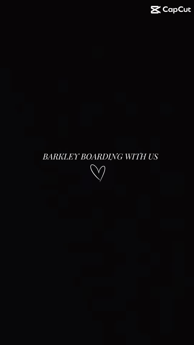 Special guest boarding with us last weekend was Barkley 🫶💗 100% spoiled in our house. Coffee runs, morning/day and night walks! So many belly rubs! Was such a good boy! ❤️
#dogsofallboroughs #aussiedoodlelove #australianmountaindoodle #dogsofues #dogsofnyc