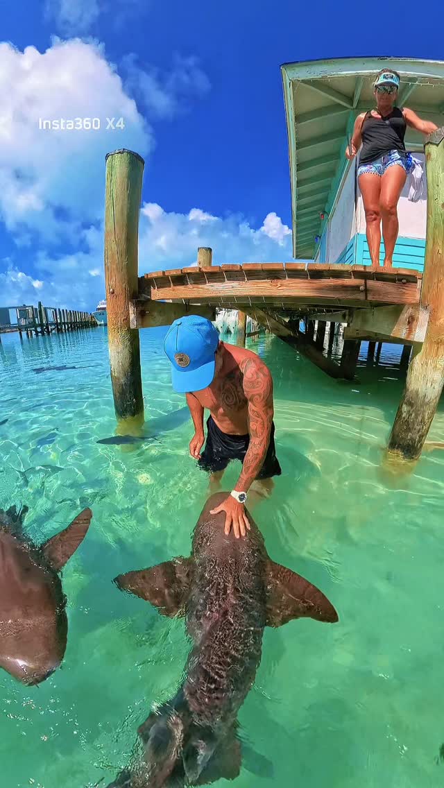 Touching a nurse shark in the shallows of Compass Cay – bucket list moment unlocked! 🦈💙
These gentle giants are super friendly and used to humans, making it one of the most unique experiences in the Bahamas.
#SwimWithNurseSharks #CompassCay #Bahamas #CatamaranTrips #ExumaAdventures NurseSharks CrystalClearWaters IslandLife KiteParadise"