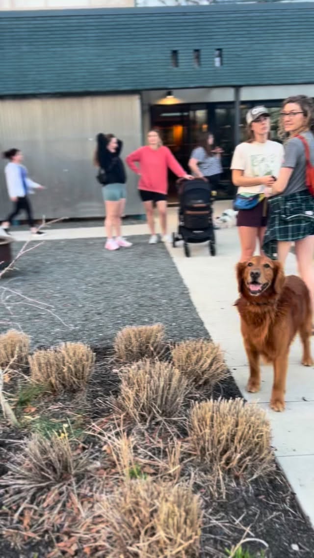 The Hot Girl Walk returns this Thursday at 6pm!
Just us for a loop around Dix park at your own pace. Bring your dog, your stroller and your hot girl energy! 💪#internationalwomensday #womensmonth #walkingclub #dixpark #downtownraleigh