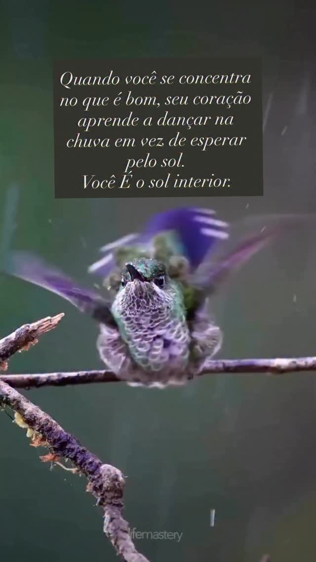 Escolher o lado bom não é pensar positivo. É escolher com consciência aquilo que me aproxima do que eu quero manifestar.
Observe o exemplo da moeda: ela tem dois lados. O lado que eu escolho olhar é o lado que eu vou enxergar.
Escolher o lado bom não é fingir que o outro não existe. É saber que os dois estão ali e que eu tenho escolha.
Quando eu direciono meu olhar para a situação como aprendizado e oportunidade de crescimento, ou tenho a humildade de aceitar aquilo que ainda não consigo compreender por inteiro e simplesmente foco nas perguntas:
O que posso aprender aqui? Para o que isso pode ser bom? O que ainda não considerei?
O que esta situação está me mostrando?
Como posso crescer com isso?
Quando escolho me questionar dessa forma, eu fortaleço esse lado dentro de mim.
Se eu escolho focar no problema, na injustiça e na reclamação, eu também fortaleço esse lado.
A moeda é a mesma. A situação é a mesma. O que define a experiência é onde eu coloco a minha atenção.
Uma coisa é certa: a sua escolha influencia a história que você vivencia, porque aquilo que você acredita se torna a sua experiência.
Não acredite em mim. Observe e veja se eu tenho razão.
Humana aprendendo a Ser
Eu Sou aqui
Eu Sou aí
Silvana da Cunha
Cientista Intuitiva • Alquimista • Palestrante
Consteladora Sistêmica Familiar • Terapeuta Holística • Mentora
Fundadora da TQC Cura Quântica®️
e do Despertar Quântico da Consciência
www.florescimentocriativo.com