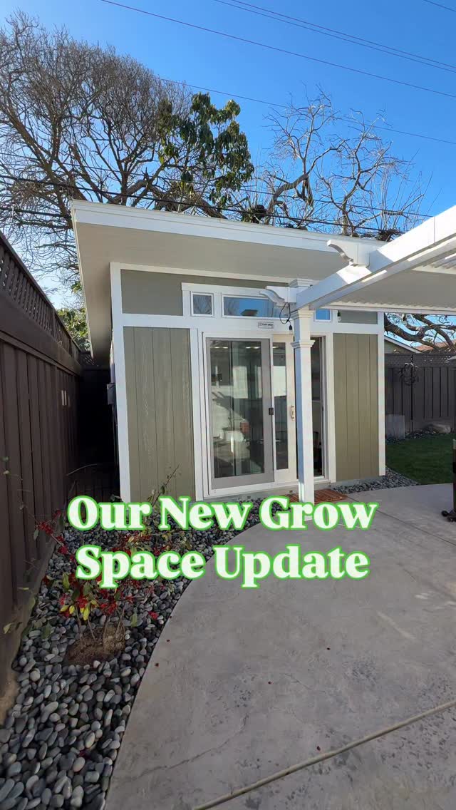 We finally have everything (well… most of them) installed in the new space.
🏠The structure is from @tuffshed
It was intended for a yoga studio or an office. But I customized the interior to hold moisture for our anthuriums.
🔀Track light kit is from 1000bulbs.com
(DM me with the list you need to create the same setup)
💡LED Growlights bulbs from @sansi_light
Discount code: SSLina (30% off)
Drop your questions or comments below ⬇️
Spring is here and Business is OPEN! 🙌🙌
#supportsmallbusinesses #plantcommunity #plantshopping #plantonlineshop #plantlife #plantparenthood #growingpains #anthuriumsofinstagram #anthuriumseller