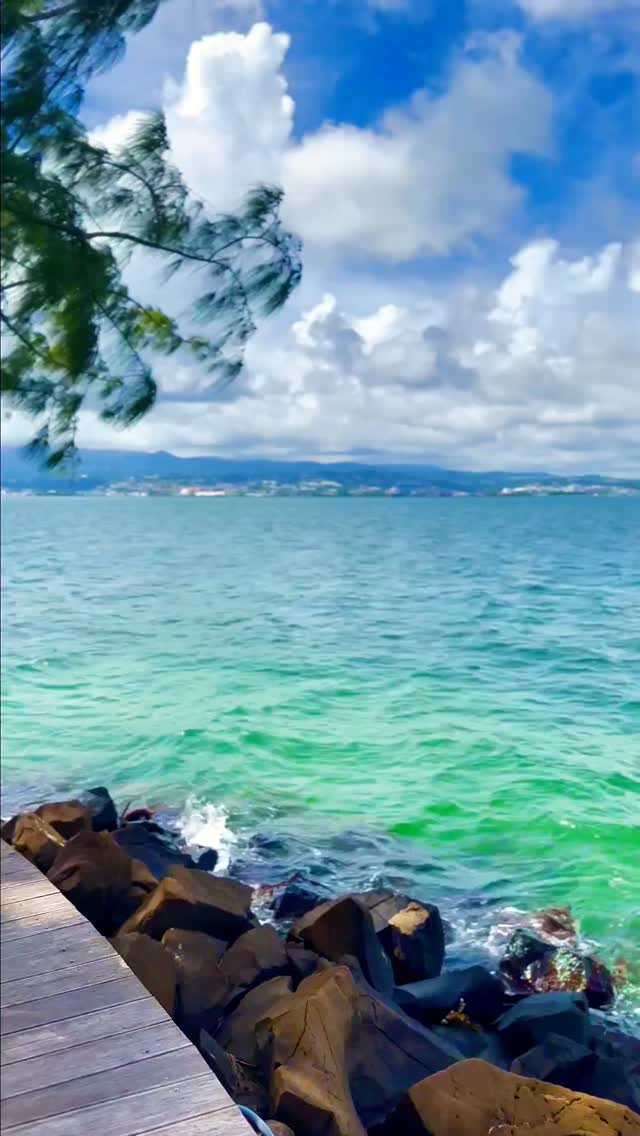 Envie de sentir l’adrénaline glisser sur l’eau turquoise ? 🌊
Depuis la plage du Carayou, l’évasion commence en quelques pas.
Jet ski, horizon dégagé, vent chaud sur le visage… La Martinique version liberté 😎
#Hotel #Martinique #Jetski #ActivitésNautiques #Voyage