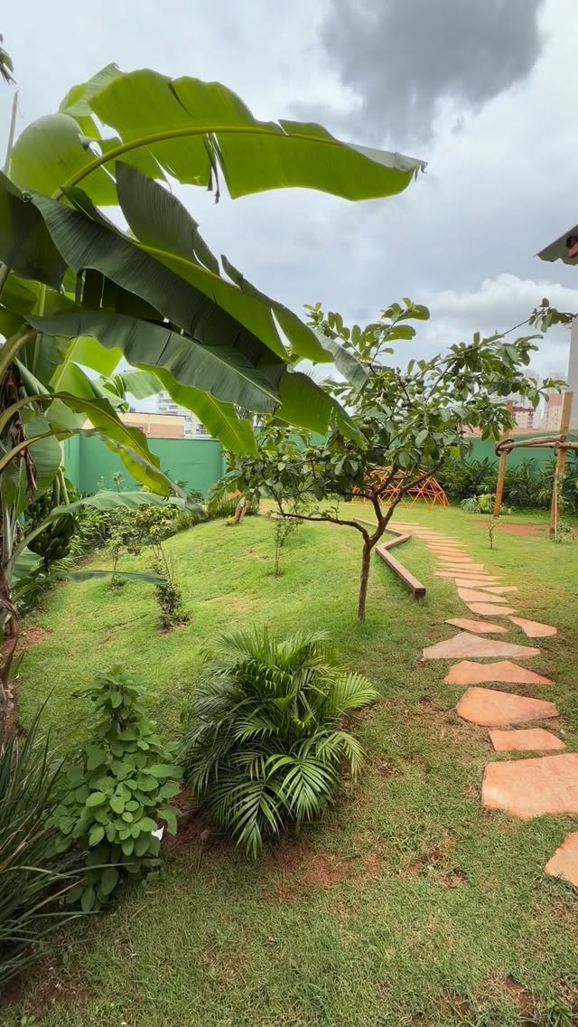 Uma escola viva!
#Escolas #escolacircular #escolasemsãopaulo #sãopaulo #educação infantil