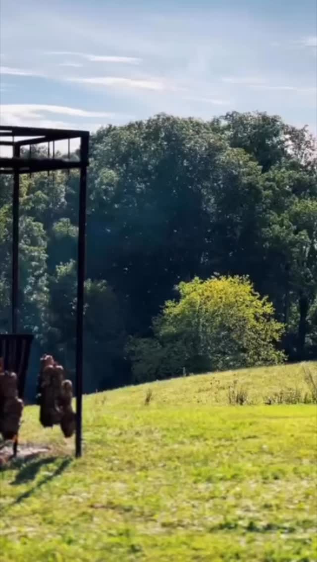 What summer looks like in case you forgot