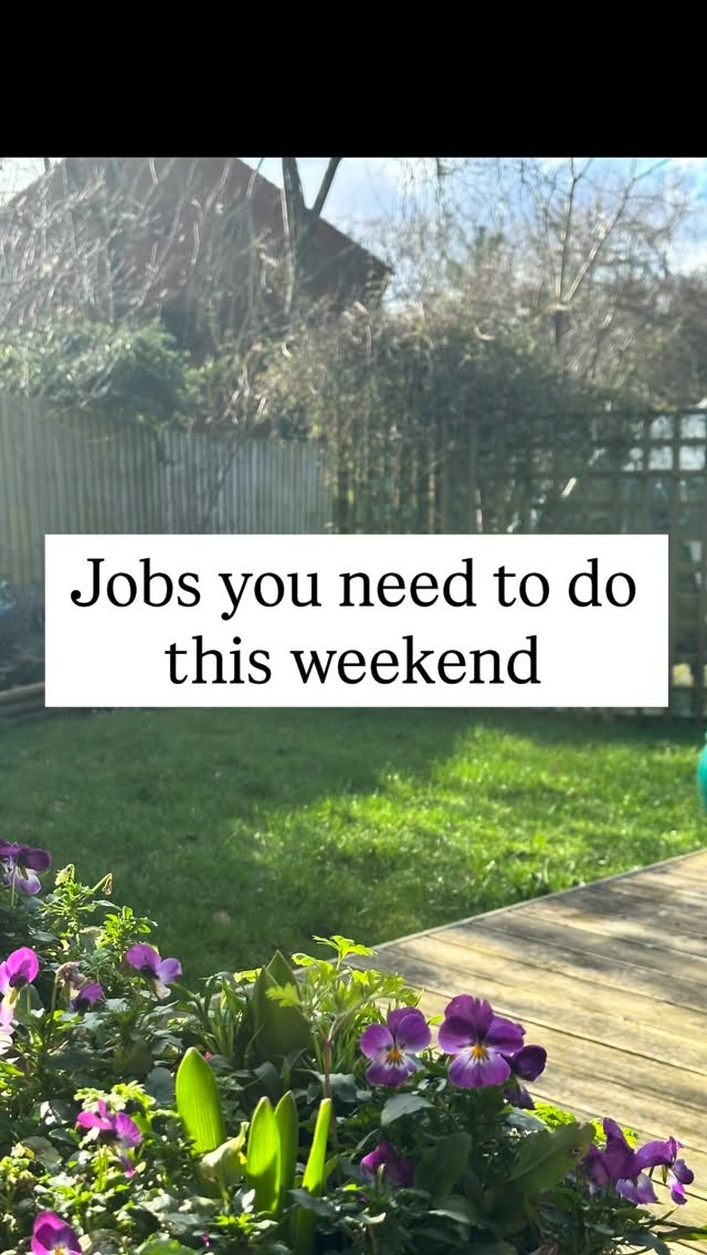 March is literally round the corner which is the month of the great awakening in your garden. The sap is starting to rise and while itās still chilly in the shade, the sun is starting to add warmth to the earth. This is the perfect window to work in the garden before the spring rush.
1. Clean out your greenhouse to give your indoors seedlings space to grow
2. Fix any waterbutts and water carriers to catch the spring rain.
3. Prune group 3 clematis (right down to 30cm) and group 2 (prune lightly)
4. Prune apples and pears but leave āstoneā fruits
5. Turn your compost heap
6. Sow broad beans and peas under a cloche or cold frame
7. Divide snowdrops now they are going over
8. Mulch your borders with compost or well rotted manure
9. Put up new bird boxes for nesting season #gardeninglife #weekendvibes #thingstodo