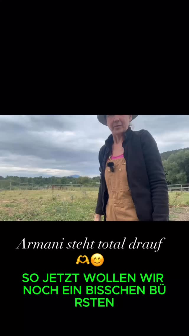 Gefällt es ihm oder mag er das nicht? Was glaubt ihr🤣🤣❤️ #mel4animal #horsemanshipeinmalanders #pferdeflüsterin #pferdeverstehen