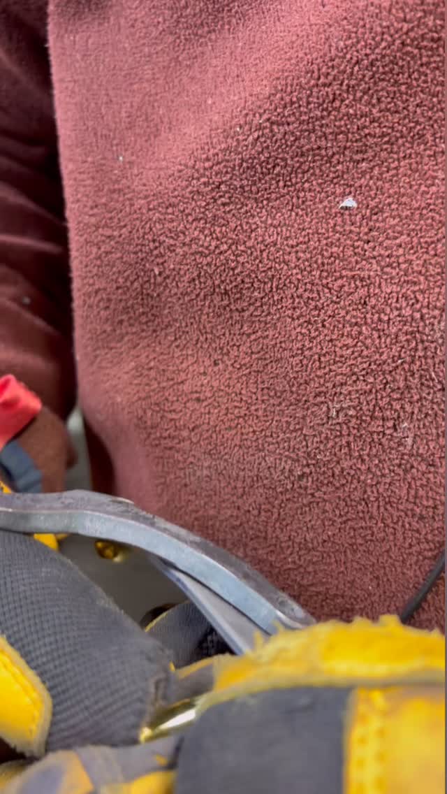 11” Farm Chef with brass rivets 👌🏼 Carbon steel is the way to go