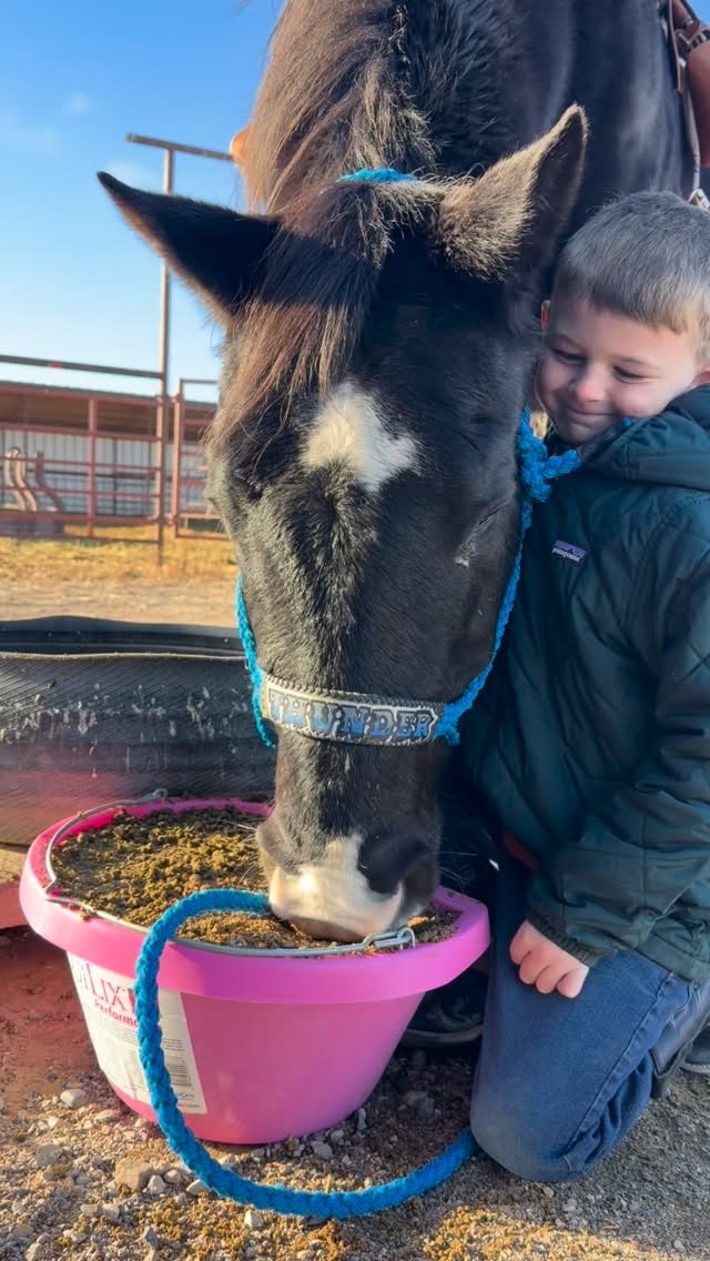 The best old horses aren’t just seasoned — they’re legends. 🐎
Keep them feeling their best with Equilix from @agri_bestfeeds — because the horses that built the program deserve the very best.
Find a Dealer Near You:
https://www.agribestfeeds.com/find-a-dealer
#thebestofbest #equinecare #agribestfeeds #ranchkids #horseloversofinstagram