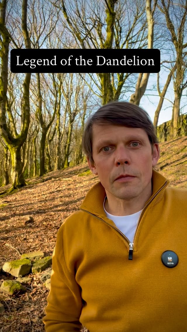 The Story Is Here – The Legend of the Dandelion
The fairy’s quest has reached its end…
Through woodlands, castle gardens, and perfect lawns she searched for the most beautiful flower—yet none stirred her heart.
Until she noticed a flash of gold pushing through cold grey concrete.
The dandelion.
Now told aloud, this tale invites us to see differently—to look again at the flower we have so easily called a weed, and to remember why it is truly The Children’s Flower.
Press play and rediscover the magic growing at your feet.
#legendofthedandelion #oralstorytelling #storytelling #natureconnection #dannyenglishstories