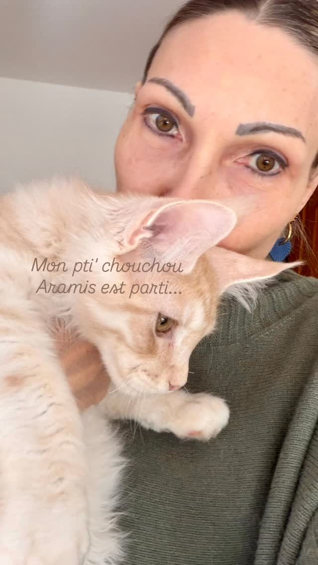 Aramis s’en est allé vers de nouveaux horizons lointains puisqu’il est en Belgique 😊 Je lui ai donné plein d’amour depuis sa naissance et maintenant il va recevoir des tonnes de câlins ❤️
Avec tendresse 🤍
Carine Zimmermann
Éleveuse de Maine Coons
Affiliée au Cat Club Romand
Domaine de l’eau vive
1724 Bonnefontaine
+41 79 281 93 88
#mainecoon #kittenlove #chaton #elevagemaincoon #cantondefribourg