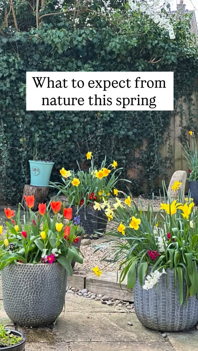 We did it šš» Itās the first day of meteorological spring! We turned a corner and are looking forward to the longer brighter days ahead! We will be making our allotment borders bigger, and replacing the pallet collars on our home veg plot. What are your plans this spring? #allotmentuk #gardening #spring