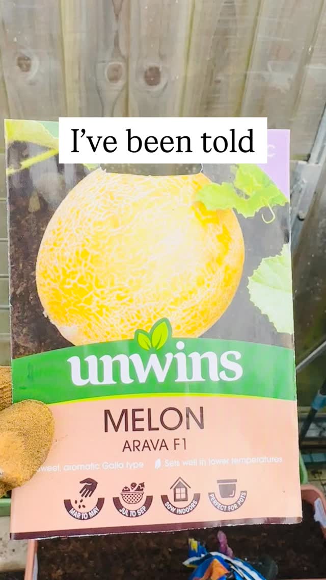 I try to grow one new thing every year and this year I AM growing melons! š With a notoriously difficult growing journey ahead, (Iām in the UK), I am determined that this challenge will not fail š Whatās the hardest thing you have grown! #melon #growyourown #allotmentsofinstagram