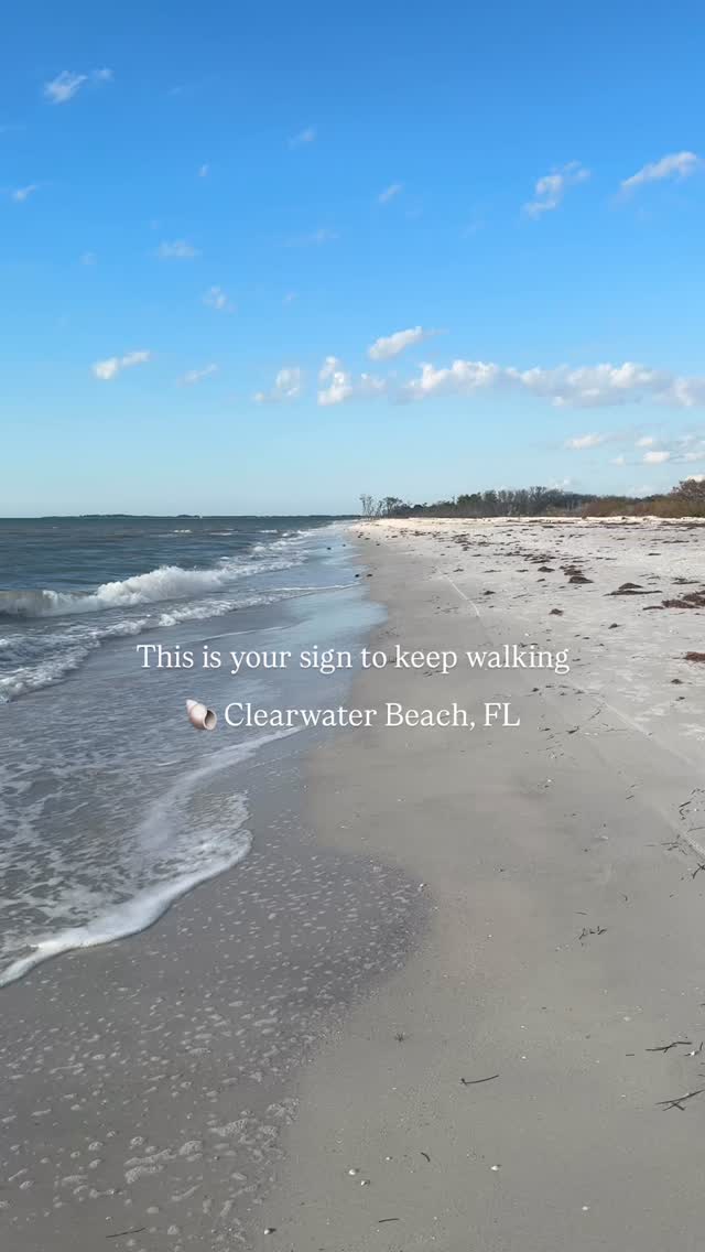Most people stop, but if you keep walking you’ll end up at Shell “island” between Clearwater Beach and Caladesi! 🌴
Start at North Clearwater Beach by the houses and keep walking! About 1.5 miles later you’ll find driftwood covered in seashells! 🐚
Save this for your next FL beach trip!
•
•
•
•
#visitflorida #floridalife #travel #floridavacation #clearwaterbeach