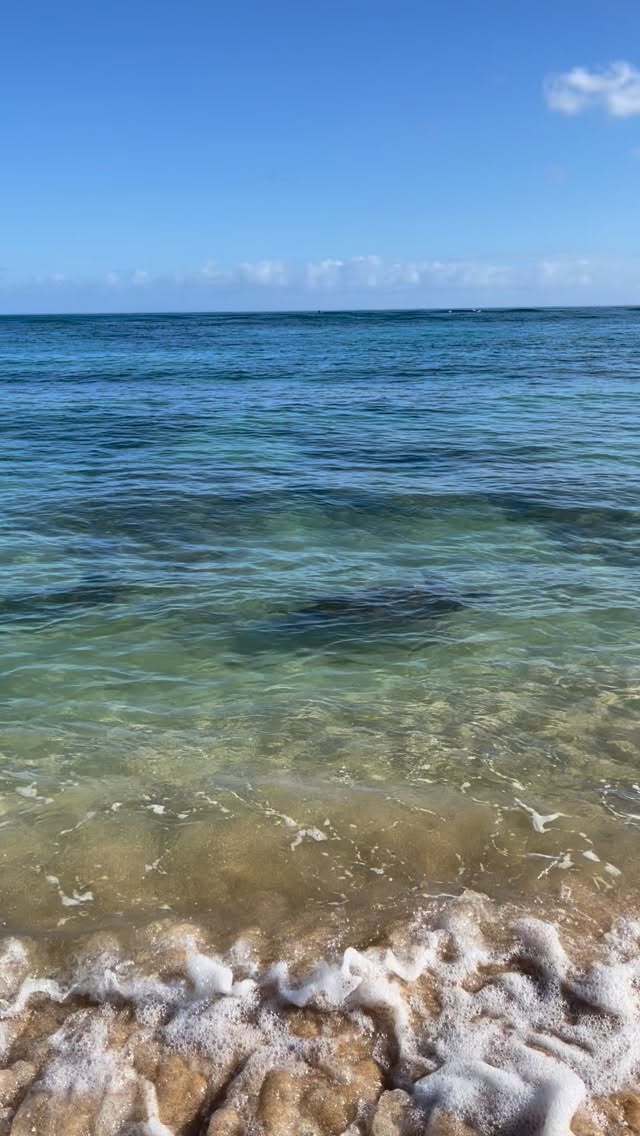Can you spot the sea turtles??
On our first day on Oahu, we naturally woke up extremely early and were out of the door by 6am. This meant we had the entire beach to ourselves and had the opportunity to see sea turtles swimming so close to shore
.
.
.
#visittheusa visitoahu #visithawaii