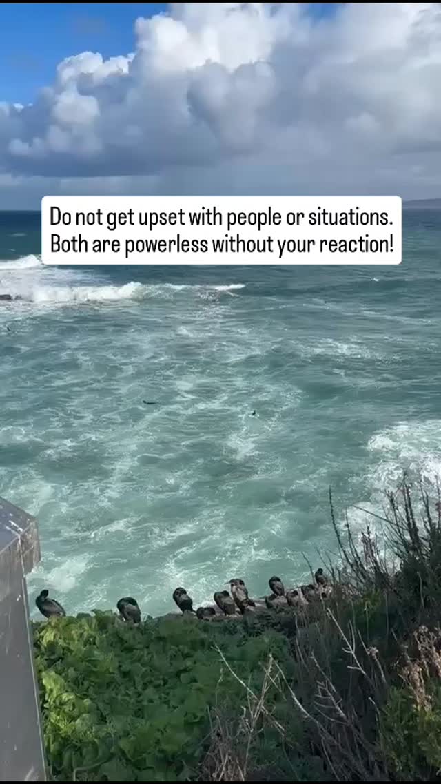 🤍
#mindsetmatters #transformyourlife #personalgrowth
#innerstrength