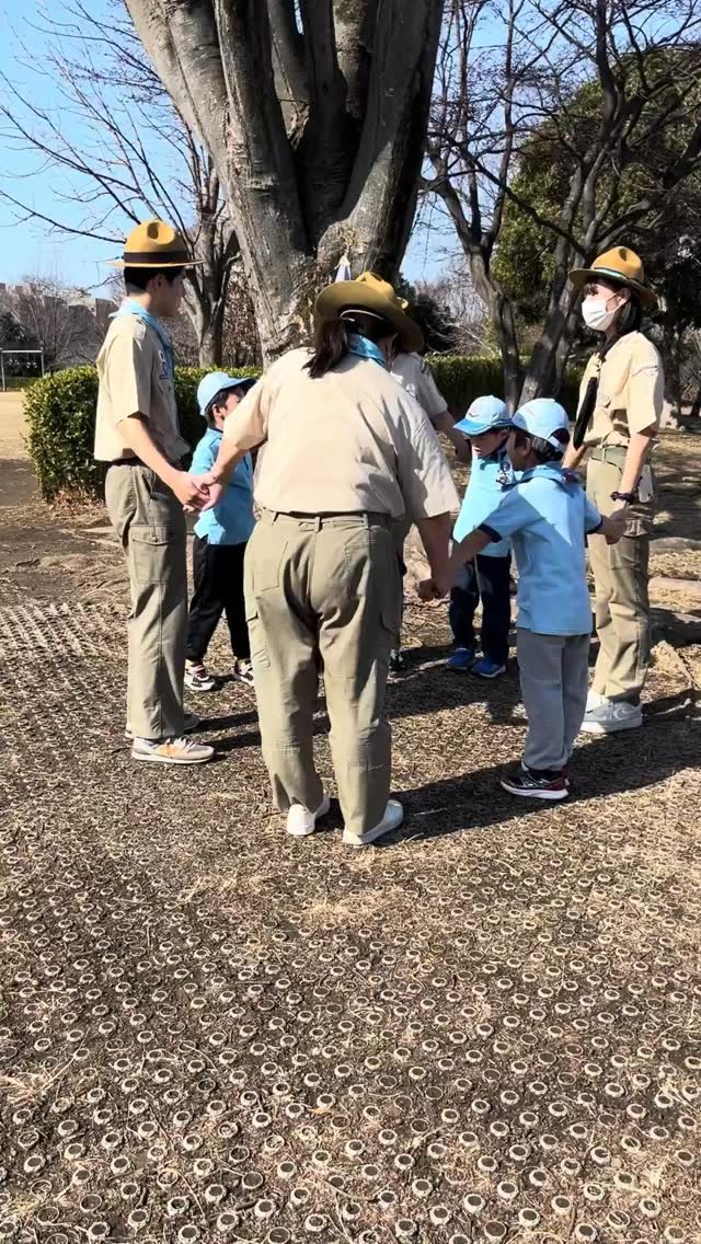 元気なビーバー🦫