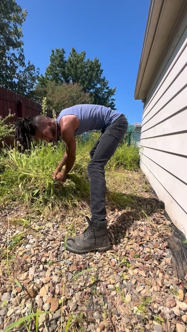 Lone 🐺 #ohio #handyman #landscape