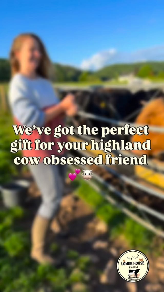 Spring is springing 🌸✨
And we’ve added more dates to visit our Highland Cows! 🐮
So if you’re looking for the perfect gift for a friend, loved one or Mother’s Day we might have just what you need. 💕
Authentic, natural, real, up close and personal.
Check out our website for booking details and others reviews!
There’s also gift card options available too!
#lowerhousefarmwales #highlandcows #highlandcowexperience #workingfarm #southwales
