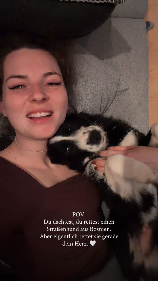 Du dachtest, du rettest einen Straßenhund aus Bosnien.
Aber eigentlich rettet sie gerade dein Herz. 🤍
Sie hat gelernt, alleine zu überleben.
Jetzt lernt sie, geliebt zu werden.
Und ich lerne gerade, wie sich bedingungslose Dankbarkeit anfühlt. 🤍🐶
•
Happy du bist so perfekt und wundervoll. Als wärst du ein fehlendes Puzzleteil, welches uns vollständig macht. Wir haben uns nicht gesucht, aber gefunden und ich weiß nicht wer von uns den anderen mehr heilt. ❤️🩹 Nie wieder ein Leben auf der Straße… Du wirst du geliebt - unsere Begegnung ist Schicksal