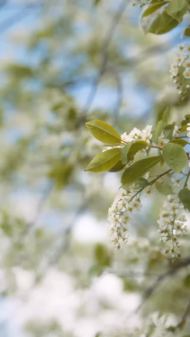 ☀️We’re counting on sunshine☀️
Join us Tuesday, March 17 at 5:30 PM
for Elevated Exchange!
Think real conversations, genuine connections, and the kind of energy that reminds you you’re not doing life or business alone.
If you’ve been wanting to meet new people, feel inspired, or just get out of your routine for a night... this is your sign!
📍Mind Garden - 929 Sutter Street, Historic Folsom
💫Come as you are. Leave elevated💫
🎟️ Link in bio or grab your spot at the door
Sabine and I cannot wait to see you!