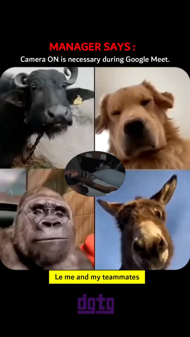 Share it with your teammates! 😂
#office #corporatelife #funnyvids #googlemeet