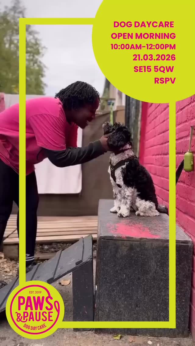 21.03. RSVP Today!
Visit us this on Saturday March 21st and meet the team, see the space and learn the schedule that will enhance your pup’s life.
Limited slots available – RSVP today to ensure entry via the link in our bio.
#dogdaycare #doggydaycare #dogsofiglondon
#pawsandpause #dogdaycarelife