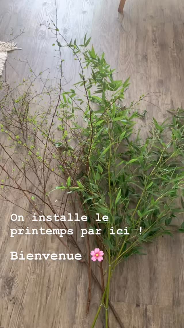 Hello spring !
Welcome in one room of l’Imprimerie everybody !
Marie 🌸
#limprimeriebeaune
#bourgogne #burgundy
#winelover #naturalwine