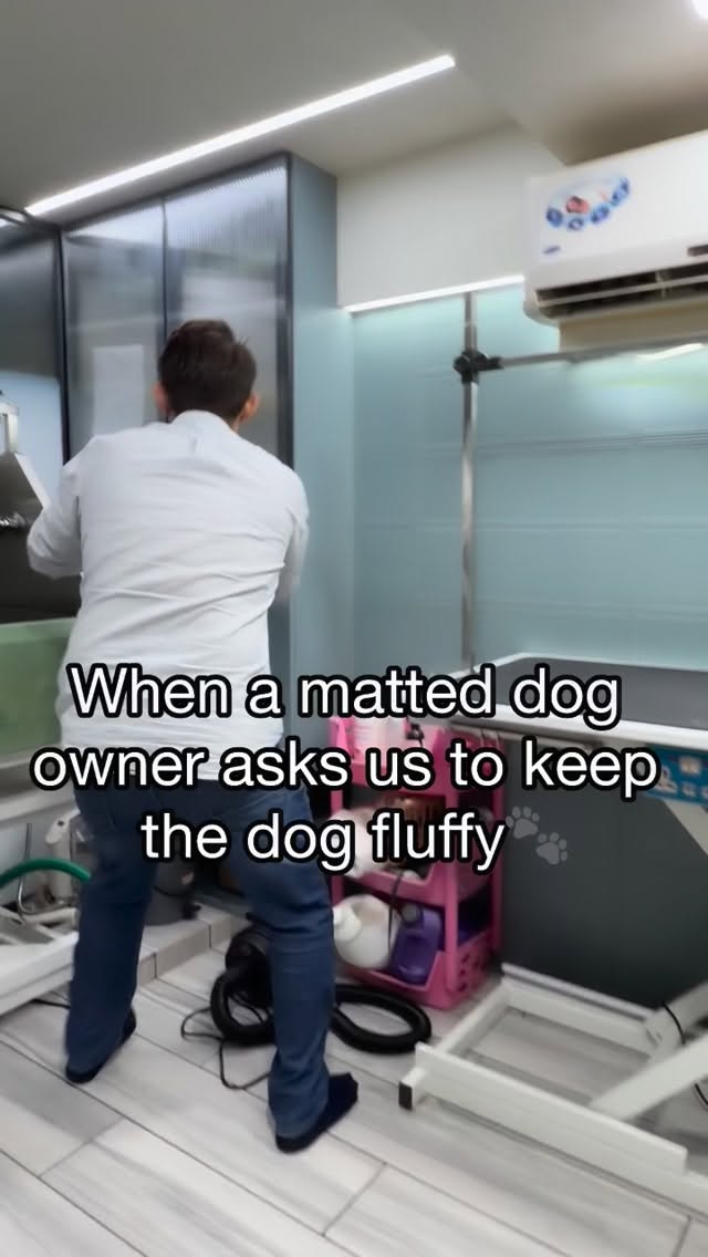 Expectations 😂😂 Reality😭😭
#petstudio #groomer #doggroomer #doghaircut #trendingaudio
(Trendingaudio,groomer,groomerlife,lifeofgroomer,matteddog,fluffy dog,dog lovers,Furends pet studio)
