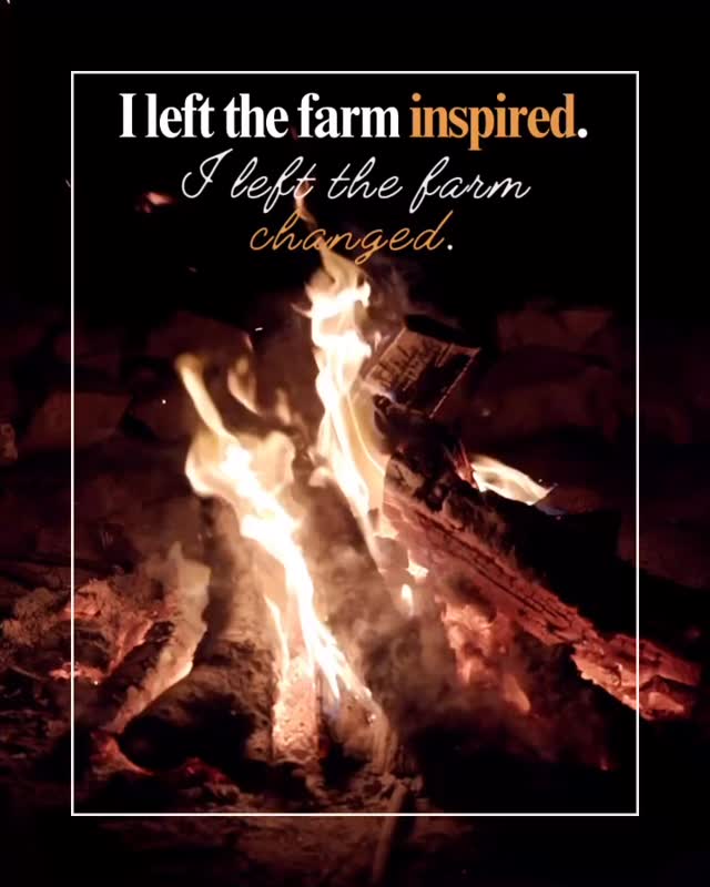 The fire has gone quiet, but the transformation continues.
We laughed.
We released.
We remembered who we are.
Rising From the Fire is complete — and this circle is stepping forward.
Each with a new discovery of themselves, a strength deep within, connections to help continue the work and a variety of tools to accompany the process.
Watch for another date for the women who felt the pull but couldn’t join us this time. 🔥