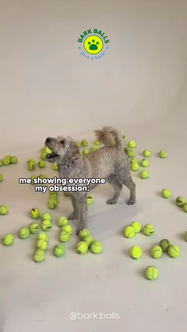 “Me showing everyone my obsession.”
The obsession: dogs, tennis balls, and saving perfectly good balls from the landfill.
Fetch harder. Waste less.
Bark Balls repurposes used tennis balls from tennis courts and gives them a second life with dogs who never get tired of the game.
Shop the stash.
#BarkBalls #CourtToCanine #DogLife #EcoFriendlyDogs #FetchForever TennisBallAddict DogParents