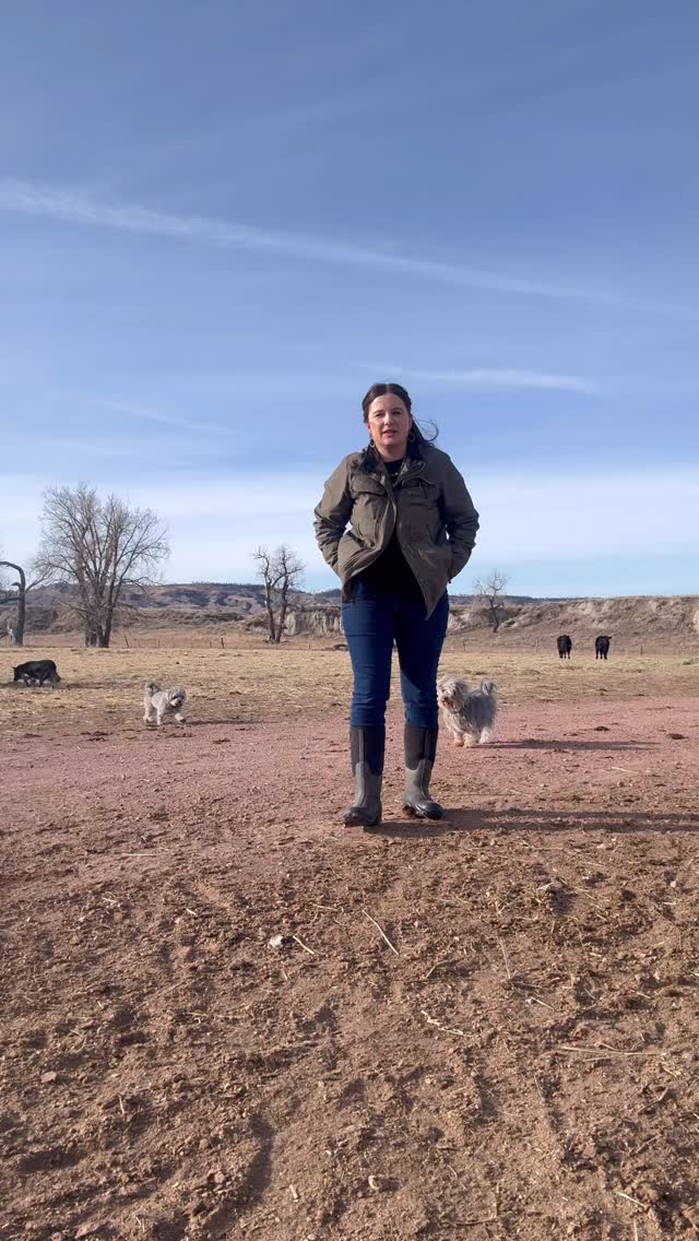 This is an interesting thought I heard one day… it’s really stuck with me, but do you think it’s true? #ranching #mindset #ranchbetter #ranchingfyi