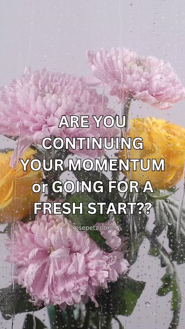 Let me ask you something…
ARE YOU CONTINUING YOUR MOMENTUM — or ARE YOU BEING CALLED INTO A DIVINE FRESH START?
Close your eyes for a moment.
Can you feel it?
That gentle nudge.
That whisper in your spirit.
That unseen presence reminding you that you are guided, guarded, and never alone.
Momentum is when your angels smile and say,
“Keep walking. We’ve cleared the path ahead.”
It’s the strength you didn’t know you had.
The doors opening quietly.
The alignment that feels almost… heavenly.
But a fresh start?
That’s when the angels step in closer and say,
“Release it. We have something greater waiting.”
A fresh start isn’t failure.
It’s divine redirection.
It’s protection you may not yet understand.
It’s grace giving you another chance to rise.
Sometimes momentum is holy discipline.
Sometimes a new beginning is sacred surrender.
The question isn’t whether one is better.
The question is:
What is Heaven whispering to you right now?
Are you being strengthened to continue?
Or are you being lifted into something new?
Trust the signs.
Trust the timing.
Trust that what’s meant for you will never miss you.
Whether you move forward with steady steps
or spread your wings into a brand-new chapter—
You are divinely supported.
So tell me…
Are you continuing your momentum,
or are you answering the call for a blessed new beginning?
R🪽❤️🔥