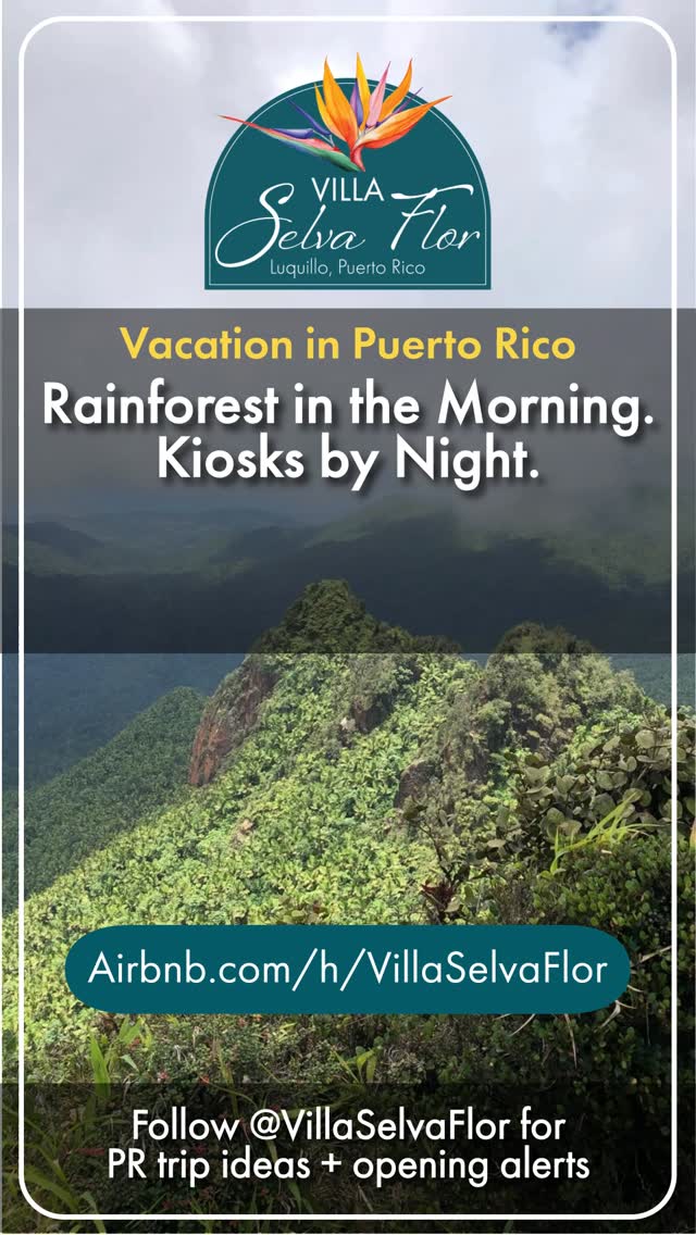 Rainforest ➝ Beach ➝ Kiosks.
Adventure first. Empanadas after.
📍 Luquillo, Puerto Rico | Top 1% of homes on Airbnb ⭐
Plan your escape → airbnb.com/h/villaselvaflor
#PuertoRico #PuertoRicoTravel #ElYunque #LuquilloBeach #IslandEscape #VillaSelvaFlor
