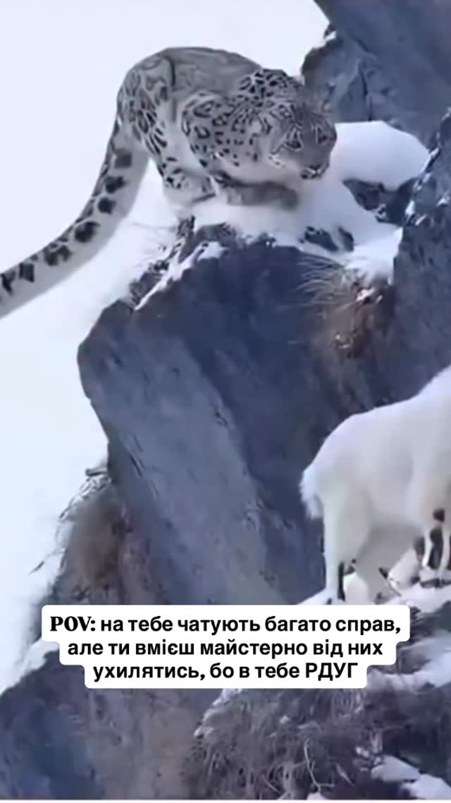 Рдужики та рдуженята, що найважче дається до виконання?😅🙃
#рдуг #прокрастинація