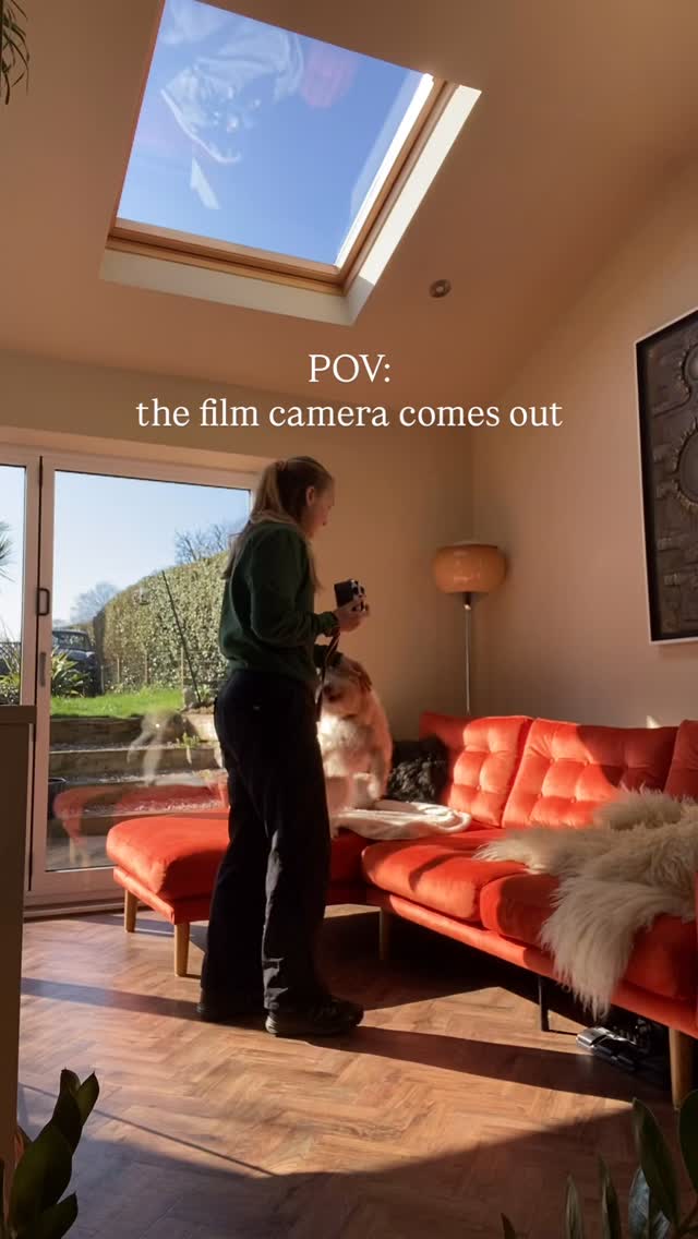 the film camera comes out… 😭
#filmcamera #dogslovers #dogsofinstagram